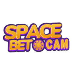 sudoku meaning japanese
